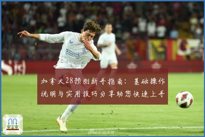 加拿大28预测新手指南：基础操作说明与实用技巧分享助您快速上手