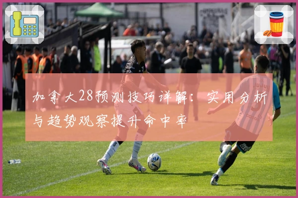 加拿大28预测技巧详解：实用分析与趋势观察提升命中率