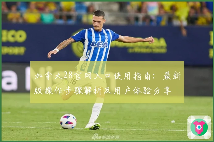 加拿大28官网入口使用指南:最新版操作步骤解析及用户体验分享