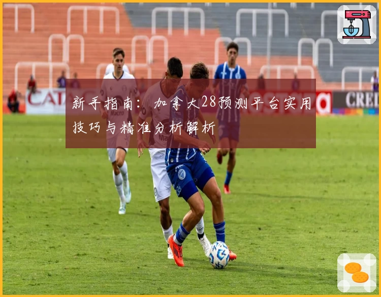 新手指南：加拿大28预测平台实用技巧与精准分析解析