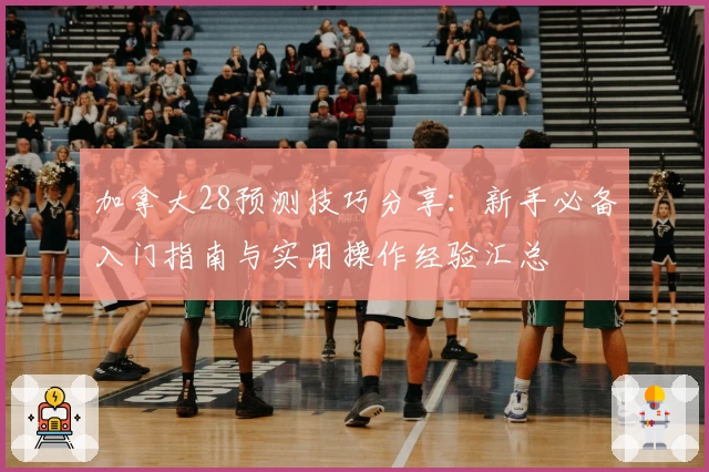 加拿大28预测技巧分享：新手必备入门指南与实用操作经验汇总