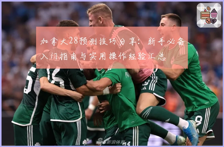 加拿大28预测技巧分享：新手必备入门指南与实用操作经验汇总