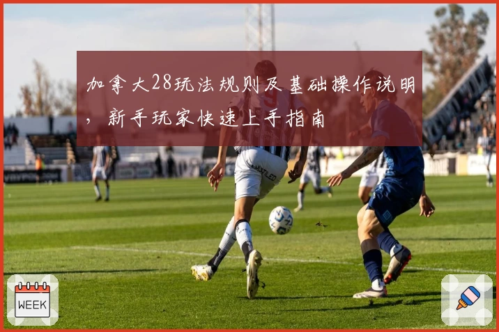 加拿大28玩法规则及基础操作说明，新手玩家快速上手指南