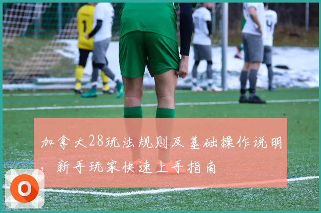 加拿大28玩法规则及基础操作说明，新手玩家快速上手指南