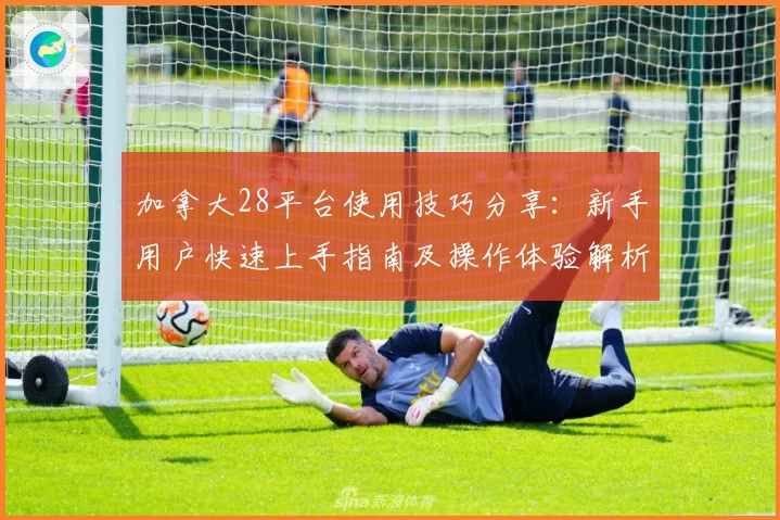 加拿大28平台使用技巧分享：新手用户快速上手指南及操作体验解析