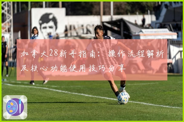 加拿大28新手指南：操作流程解析及核心功能使用技巧分享