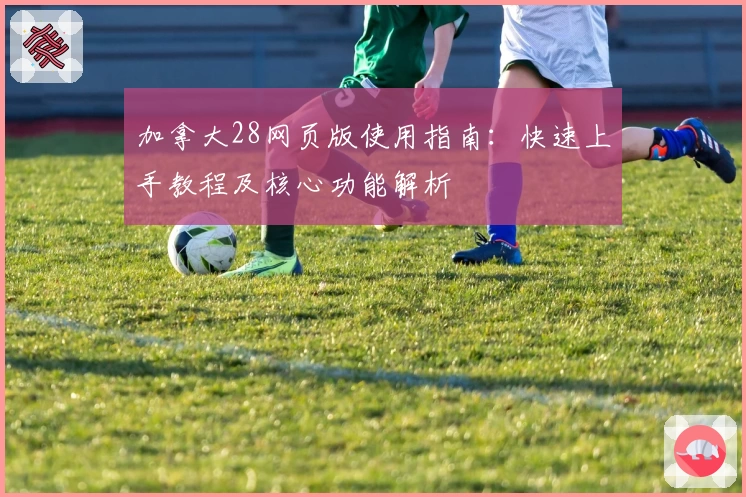 加拿大28网页版使用指南：快速上手教程及核心功能解析