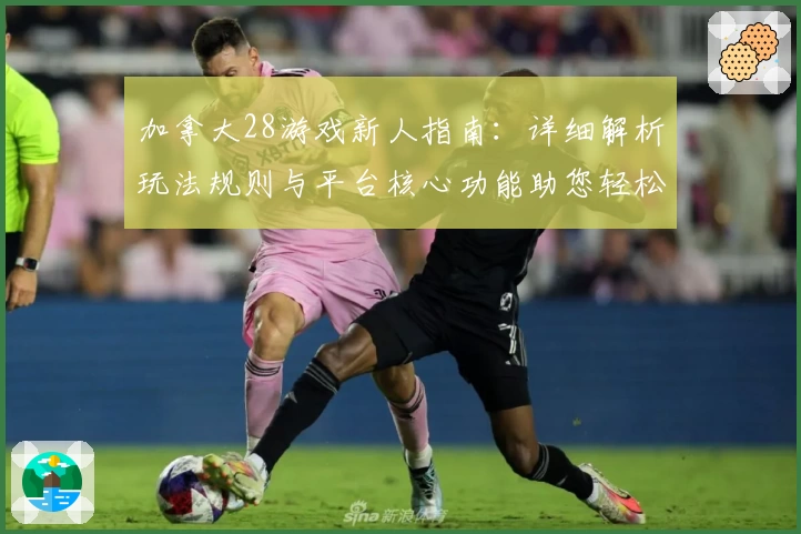 加拿大28游戏新人指南：详细解析玩法规则与平台核心功能助您轻松上手
