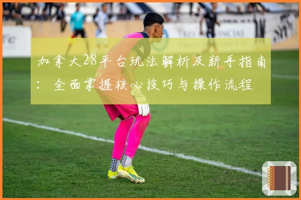 加拿大28平台玩法解析及新手指南：全面掌握核心技巧与操作流程