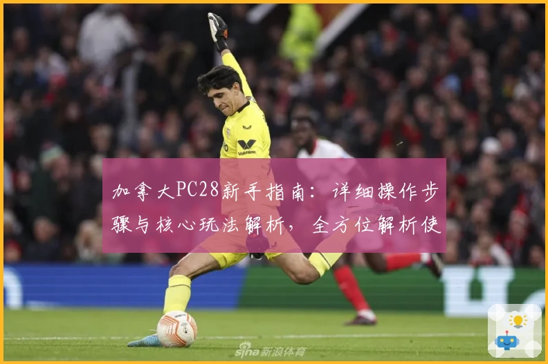 加拿大PC28新手指南：详细操作步骤与核心玩法解析，全方位解析使用体验